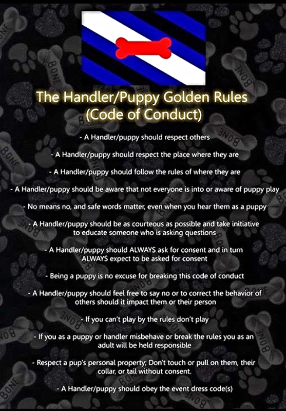 The Handler/Puppy Golden Rules