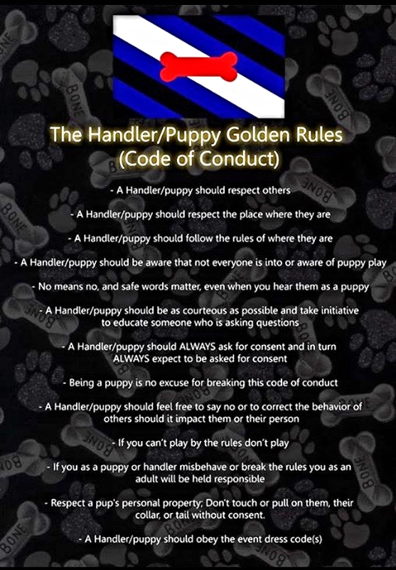 1464132381186 The Handler/Puppy Golden Rules